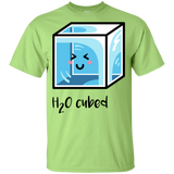 T-Shirts Mint Green / YXS H2O Cubed Youth T-Shirt
