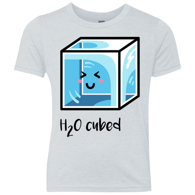 T-Shirts Heather White / YXS H2O Cubed Youth Triblend T-Shirt