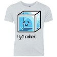 T-Shirts Heather White / YXS H2O Cubed Youth Triblend T-Shirt