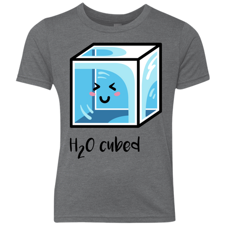 T-Shirts Premium Heather / YXS H2O Cubed Youth Triblend T-Shirt