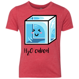 T-Shirts Vintage Red / YXS H2O Cubed Youth Triblend T-Shirt