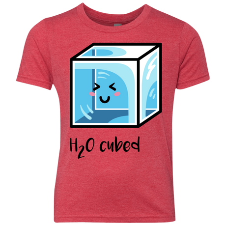 T-Shirts Vintage Red / YXS H2O Cubed Youth Triblend T-Shirt