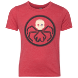 T-Shirts Vintage Red / YXS Hail Babyface Youth Triblend T-Shirt