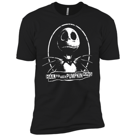 T-Shirts Black / YXS Hail To The King Boys Premium T-Shirt