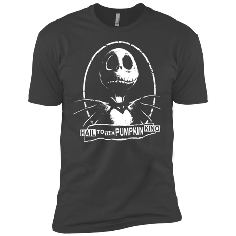 T-Shirts Heavy Metal / YXS Hail To The King Boys Premium T-Shirt