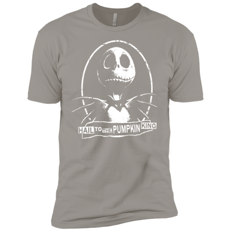 T-Shirts Light Grey / YXS Hail To The King Boys Premium T-Shirt
