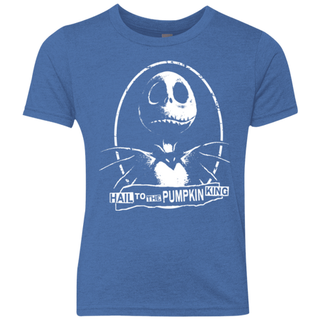 T-Shirts Vintage Royal / YXS Hail To The King Youth Triblend T-Shirt
