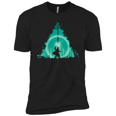 T-Shirts Black / YXS Hallowed Ground Boys Premium T-Shirt