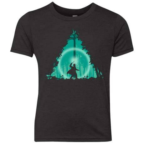 T-Shirts Vintage Black / YXS Hallowed Ground Youth Triblend T-Shirt