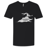 T-Shirts Black / X-Small Halloween Is Coming Men's Premium V-Neck