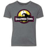 T-Shirts Premium Heather / YXS Halloween Town Youth Triblend T-Shirt