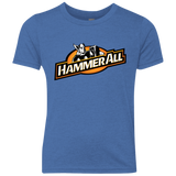 T-Shirts Vintage Royal / YXS Hammerall Youth Triblend T-Shirt