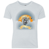 T-Shirts Heather White / YXS Hang in There Mate Youth Triblend T-Shirt