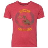 T-Shirts Vintage Red / YXS Hanzo Youth Triblend T-Shirt