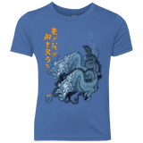 T-Shirts Vintage Royal / YXS Hanzo Youth Triblend T-Shirt