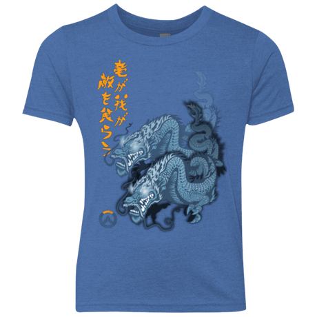 T-Shirts Vintage Royal / YXS Hanzo Youth Triblend T-Shirt