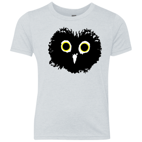 T-Shirts Heather White / YXS Heart Owls Youth Triblend T-Shirt