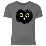 T-Shirts Premium Heather / YXS Heart Owls Youth Triblend T-Shirt