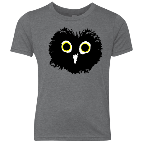 T-Shirts Premium Heather / YXS Heart Owls Youth Triblend T-Shirt