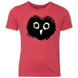T-Shirts Vintage Red / YXS Heart Owls Youth Triblend T-Shirt