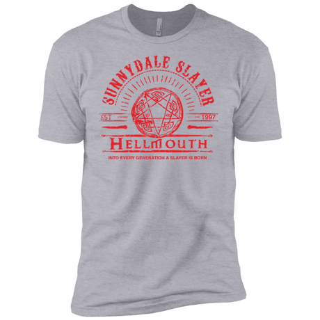 T-Shirts Heather Grey / YXS Hellmouth Boys Premium T-Shirt