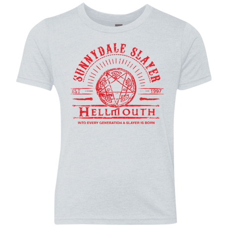 T-Shirts Heather White / YXS Hellmouth Youth Triblend T-Shirt