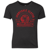 T-Shirts Vintage Black / YXS Hellmouth Youth Triblend T-Shirt