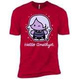 T-Shirts Red / YXS Hello Amethyst Boys Premium T-Shirt