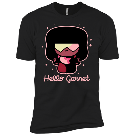 T-Shirts Black / YXS Hello Garnet Boys Premium T-Shirt