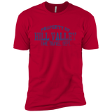 T-Shirts Red / YXS Hill Valley HS Boys Premium T-Shirt