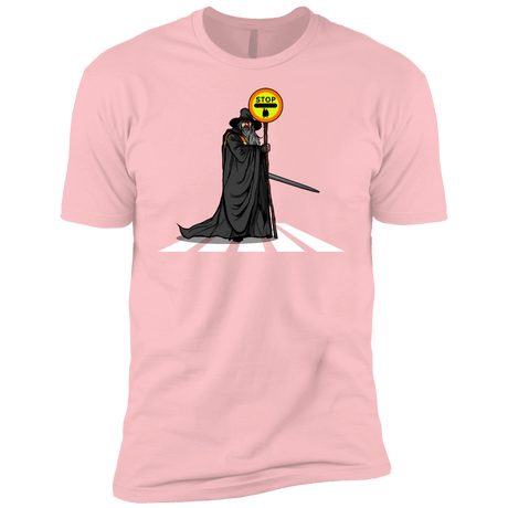 T-Shirts Light Pink / YXS Hobbit Crossing Boys Premium T-Shirt