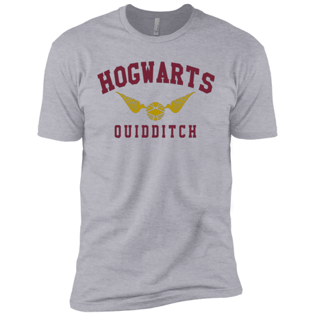 T-Shirts Heather Grey / YXS Hogwarts Quidditch Boys Premium T-Shirt