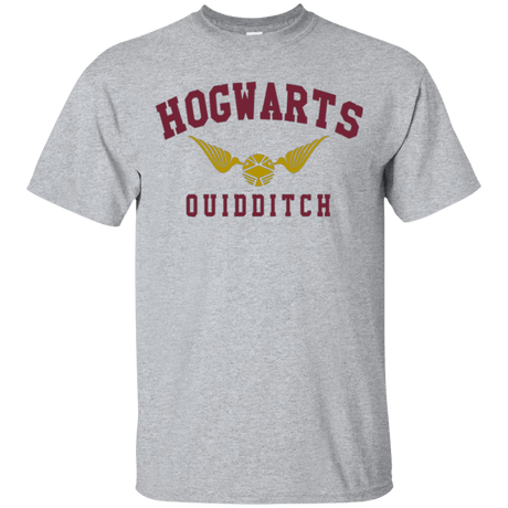 T-Shirts Sport Grey / Small Hogwarts Quidditch T-Shirt