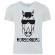 T-Shirts Heather White / YXS Horsenberg Youth Triblend T-Shirt