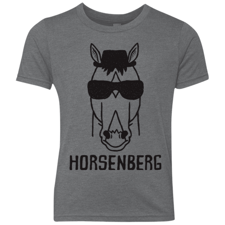 T-Shirts Premium Heather / YXS Horsenberg Youth Triblend T-Shirt