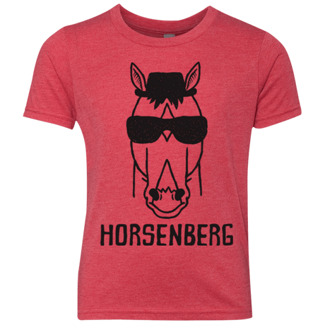 T-Shirts Vintage Red / YXS Horsenberg Youth Triblend T-Shirt