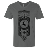 T-Shirts Heavy Metal / X-Small House Baratheon Men's Premium V-Neck