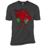 T-Shirts Heavy Metal / YXS House Grayskull Boys Premium T-Shirt