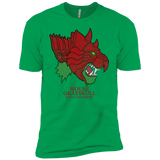 T-Shirts Kelly Green / YXS House Grayskull Boys Premium T-Shirt