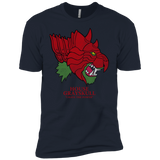 T-Shirts Midnight Navy / YXS House Grayskull Boys Premium T-Shirt