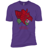 T-Shirts Purple Rush / YXS House Grayskull Boys Premium T-Shirt