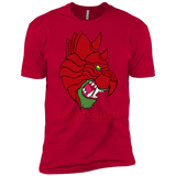 T-Shirts Red / YXS House GraySkull Boys Premium T-Shirt