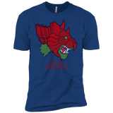 T-Shirts Royal / YXS House Grayskull Boys Premium T-Shirt