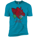 T-Shirts Turquoise / YXS House Grayskull Boys Premium T-Shirt