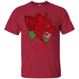 T-Shirts Cardinal / S House Grayskull T-Shirt