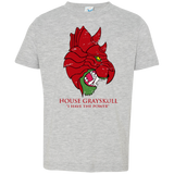 T-Shirts Heather / 2T House GraySkull Toddler Premium T-Shirt