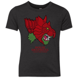 T-Shirts Vintage Black / YXS House Grayskull Youth Triblend T-Shirt