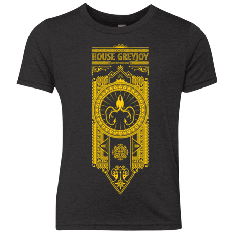 T-Shirts Vintage Black / YXS House Greyjoy Youth Triblend T-Shirt