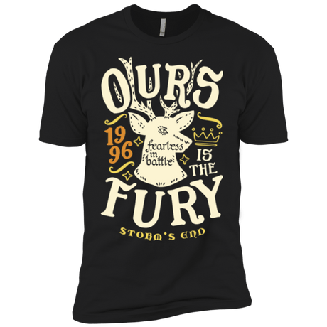 T-Shirts Black / YXS House of Fury Boys Premium T-Shirt