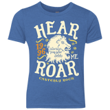 T-Shirts Vintage Royal / YXS House of Lions Youth Triblend T-Shirt